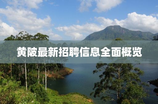 黄陂最新招聘信息全面概览