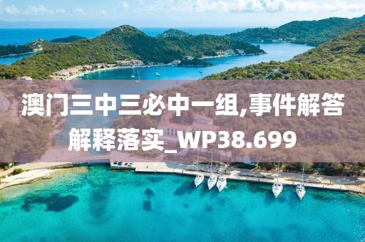 澳门三中三必中一组,事件解答解释落实_WP38.699