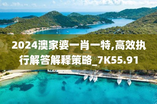 2024澳家婆一肖一特,高效执行解答解释策略_7K55.91