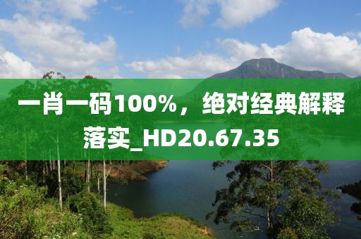 一肖一码100%，绝对经典解释落实_HD20.67.35