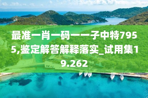 最准一肖一码一一子中特7955,鉴定解答解释落实_试用集19.262