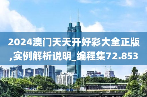2024澳门天天开好彩大全正版,实例解析说明_编程集72.853