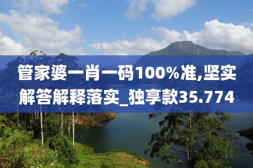 管家婆一肖一码100%准,坚实解答解释落实_独享款35.774