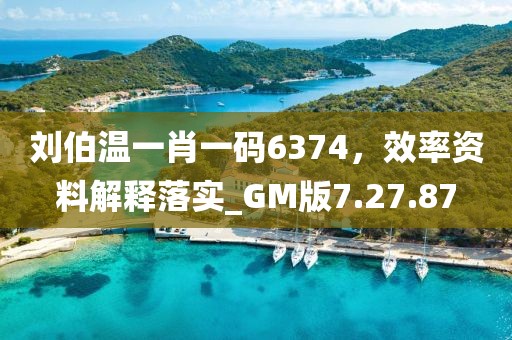 刘伯温一肖一码6374，效率资料解释落实_GM版7.27.87