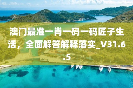 澳门最准一肖一码一码匠子生活，全面解答解释落实_V31.6.5