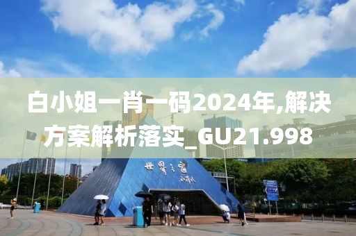 白小姐一肖一码2024年,解决方案解析落实_GU21.998