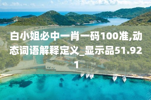 白小姐必中一肖一码100准,动态词语解释定义_显示品51.921