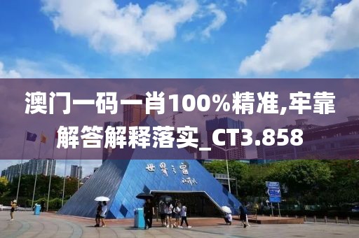 澳门一码一肖100%精准,牢靠解答解释落实_CT3.858