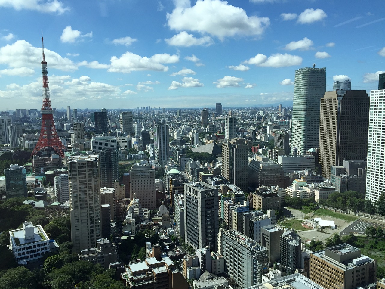 印度入境最新政策详解及更新概况