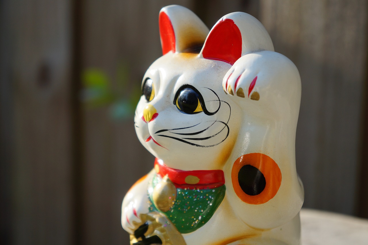 探索猫咪视频最新版，宠物世界的温馨乐趣尽在掌握