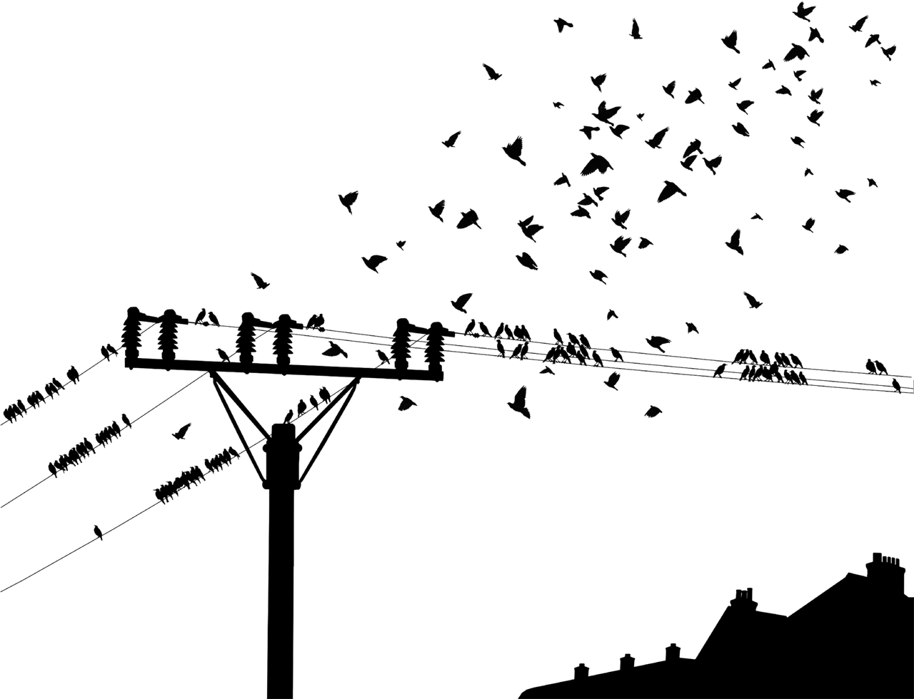 澳门最精准正最精准龙门,科学解说指法律,图形版VIW27.01.70