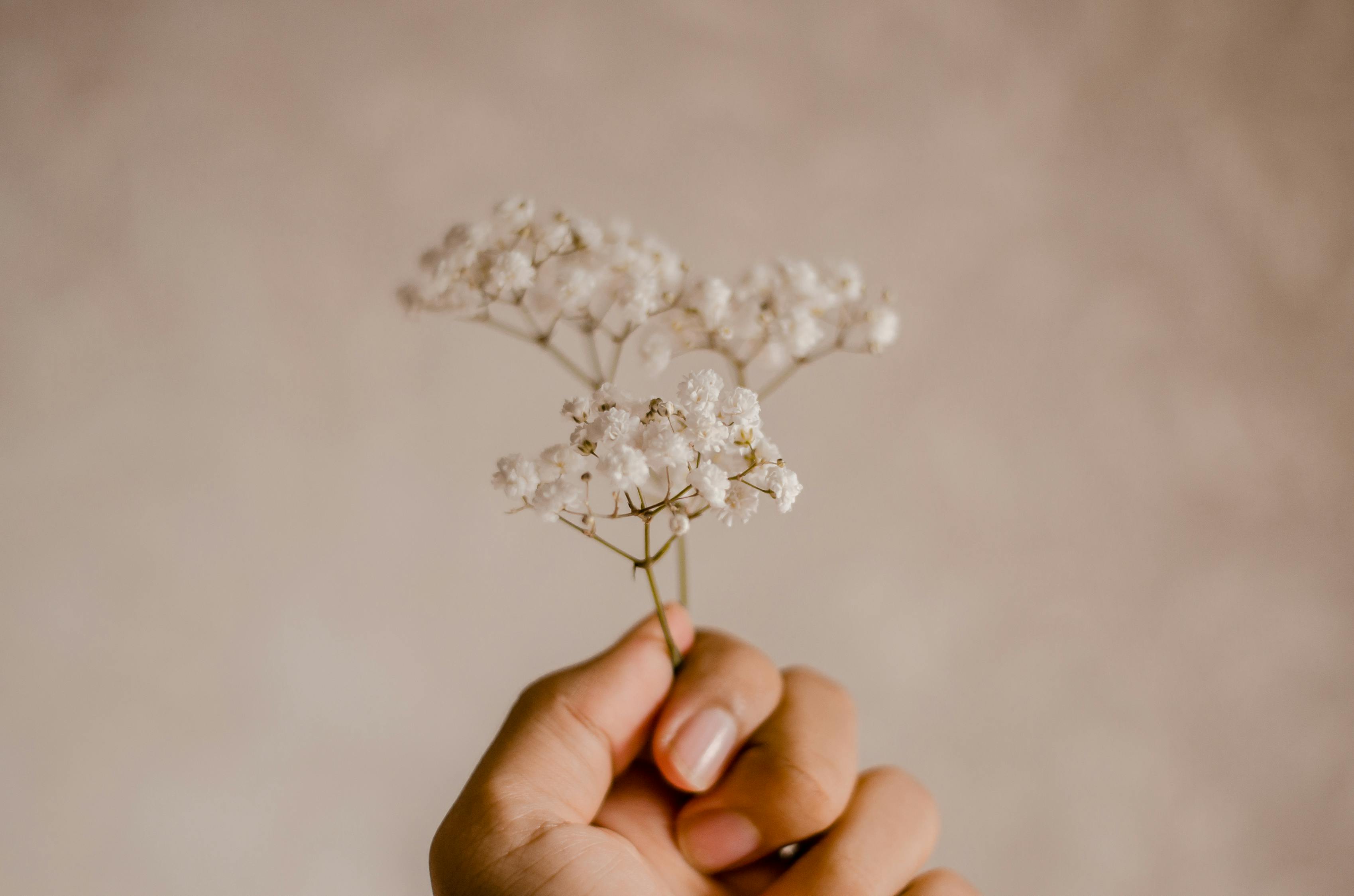 婚过以后简图，生活细节与情感交织的最新章节探讨