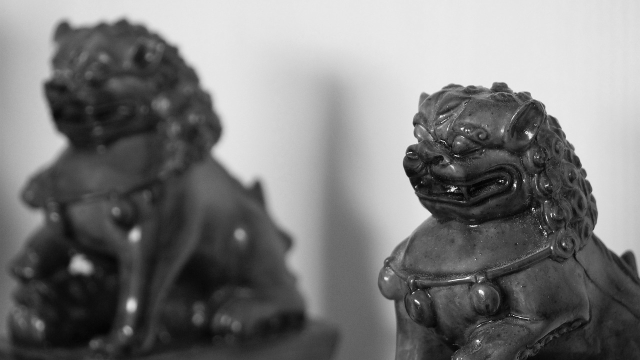 最新猴子纹身图案，时尚与文化交融的艺术展现