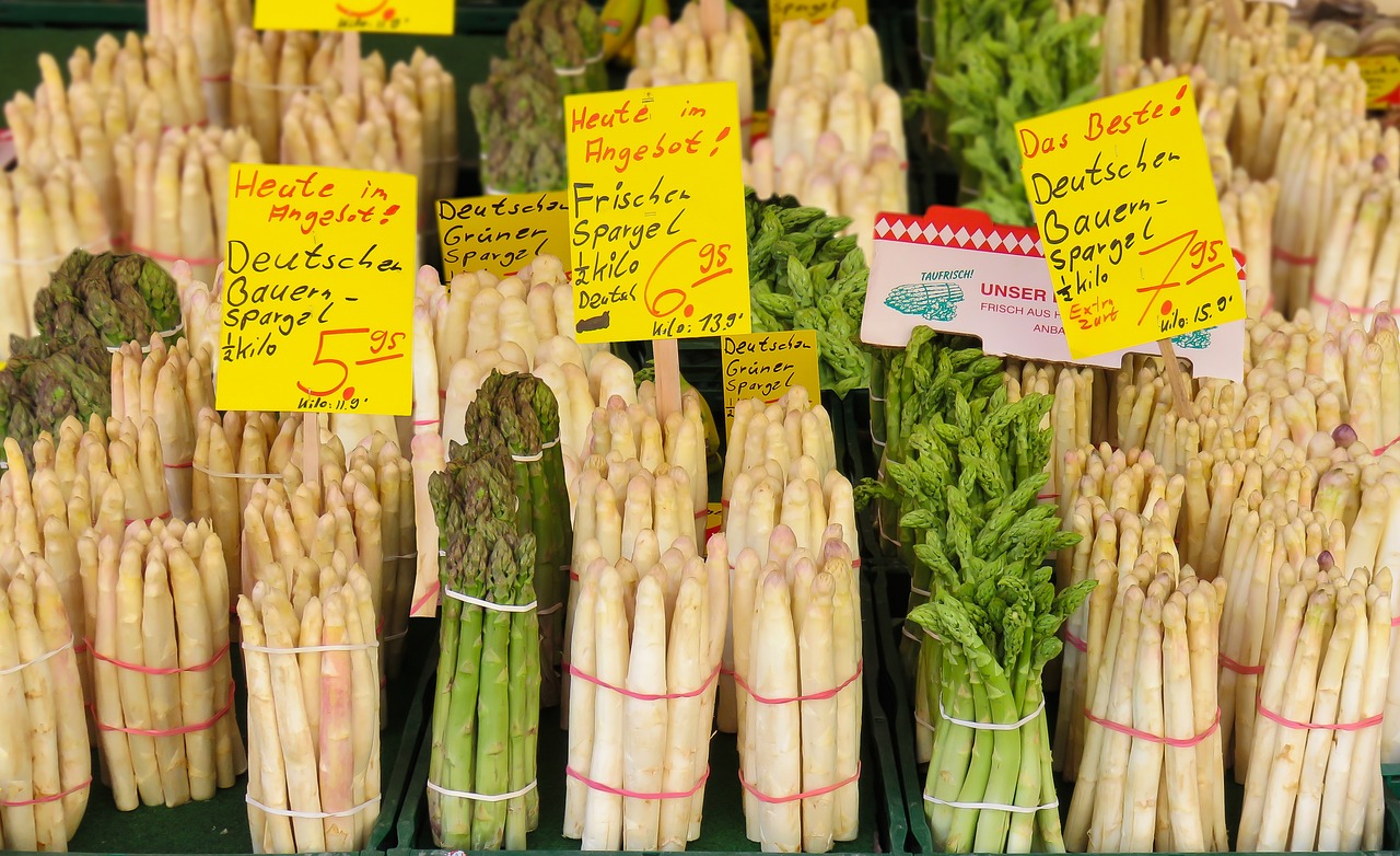 南昌蔬菜价格实时更新概览